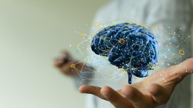 Compléments nutritionnels pour troubles neuro-psychiques et santé cérébrale avec un micronutritionniste pour les Brestois